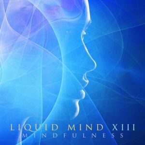 Liquit Mind XIII: Mindfulness